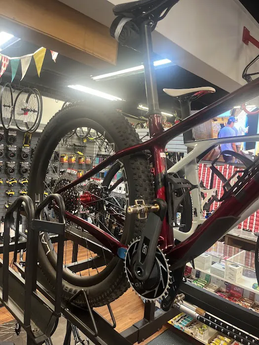 B & J BICYCLES TREK BIKE Shop Authorized Dearer Picture 5