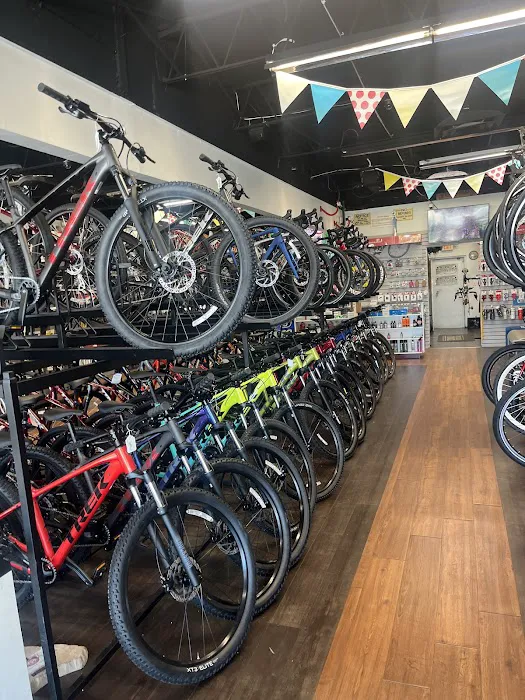 B & J BICYCLES TREK BIKE Shop Authorized Dearer Picture 8