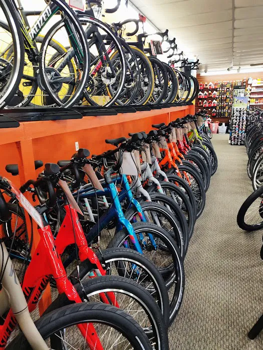 Bicycle Generation Inc Picture 5