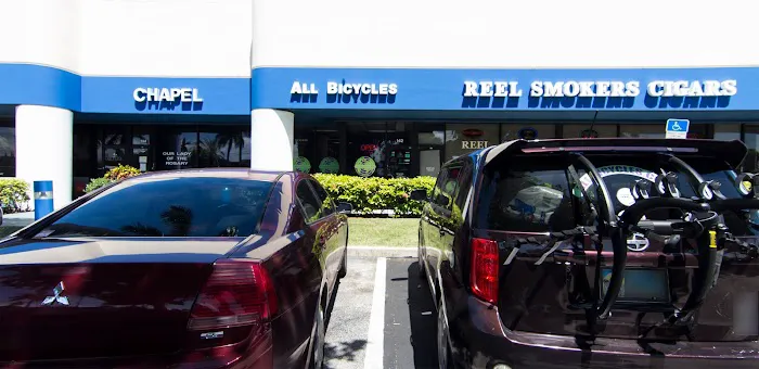 All Bicycles Picture 8