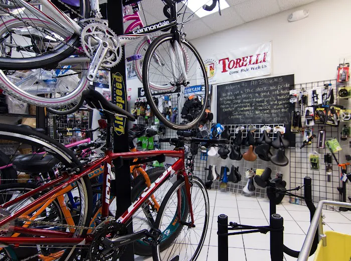 All Bicycles Picture 5