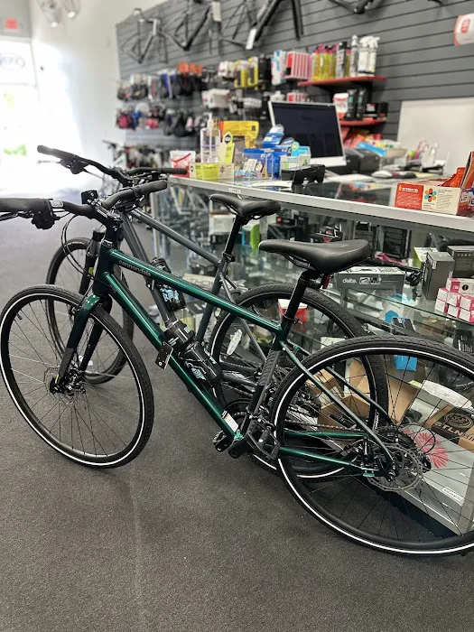POWER CYCLE - Bike Shop Picture 7