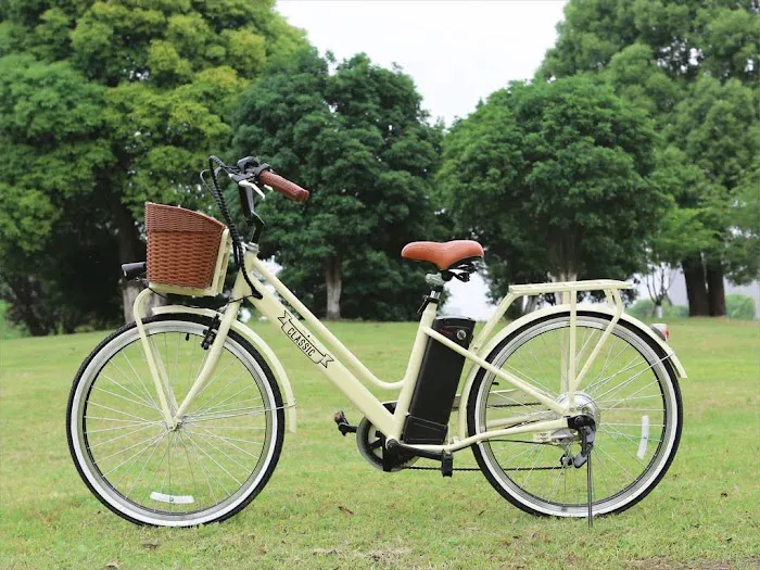 Sunshine E-Ride Picture 6