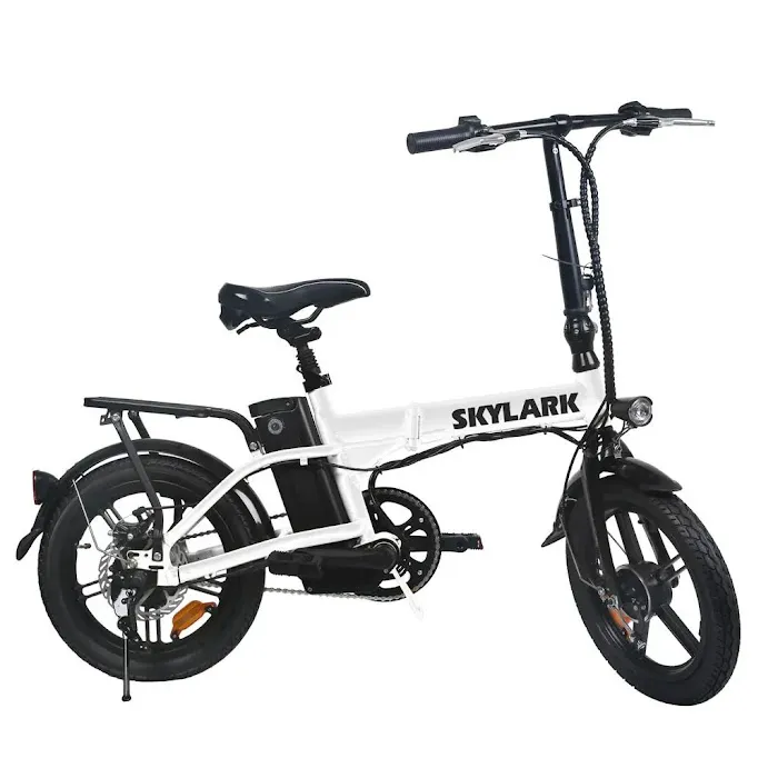 Sunshine E-Ride Picture 8