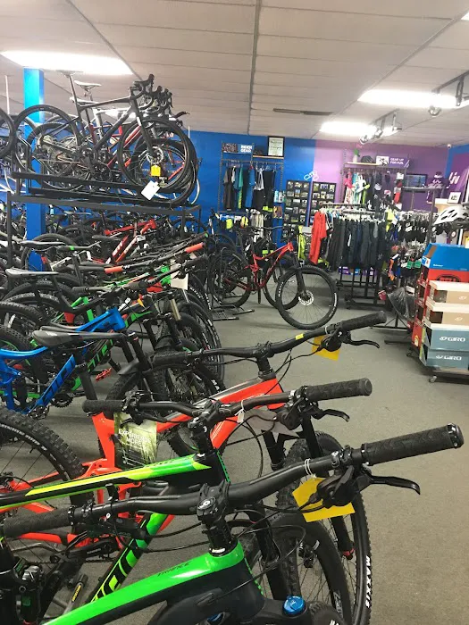 Hillsboro Bicycle Center Picture 6