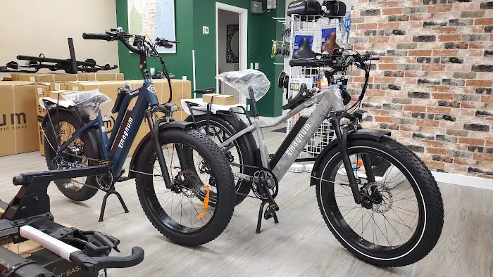 ELECRUISER ELECTRIC BIKES Since 2021 Picture 2
