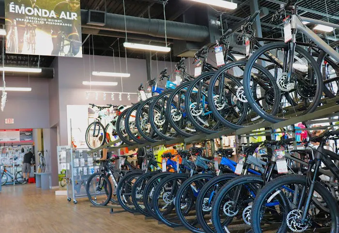 Trek Bike Shop of Boca Raton Picture 9