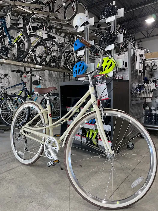 Trek Bike Shop of Boca Raton Picture 5