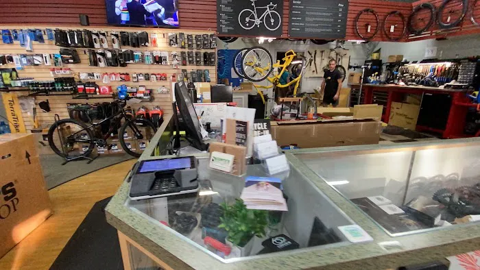Conte's Bike Shop Picture 7