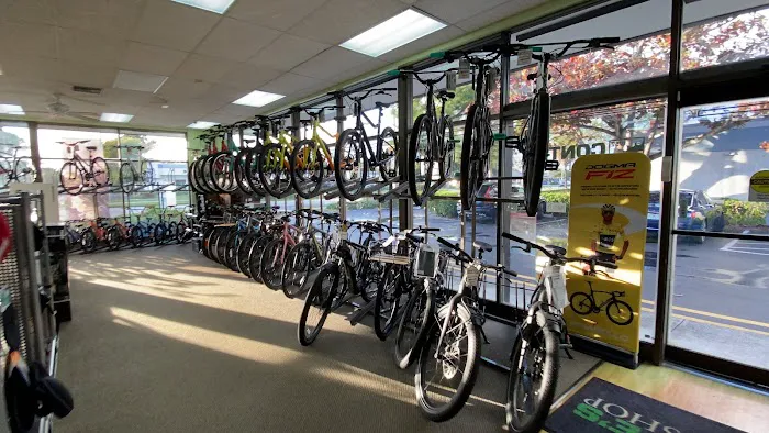 Conte's Bike Shop Picture 5