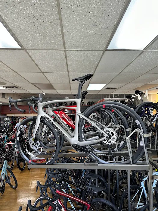 Conte's Bike Shop Picture 8