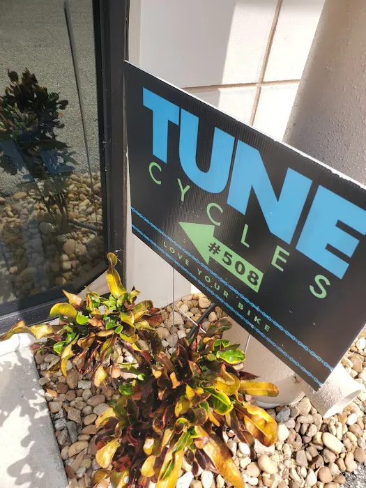 TUNE Cycles Picture 6