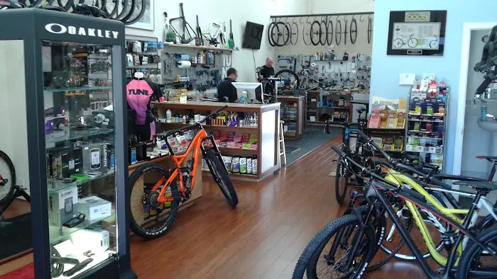 TUNE Cycles Picture 5