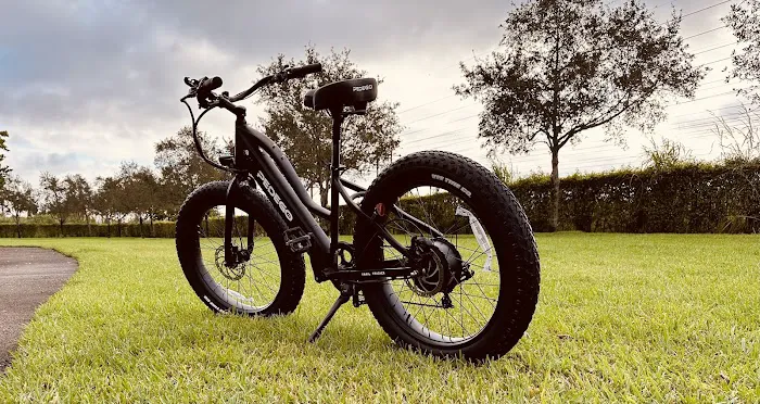 Pedego Electric Bikes Boca Picture 8