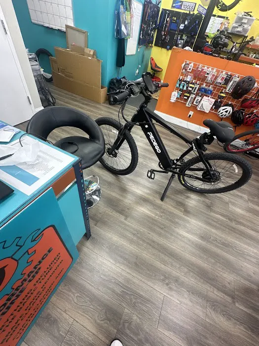 Pedego Electric Bikes Boca Picture 5