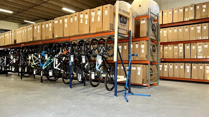 Cycle Limited Picture 5