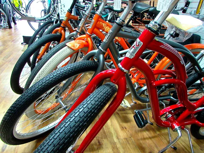 The Bicycle Lab Picture 10