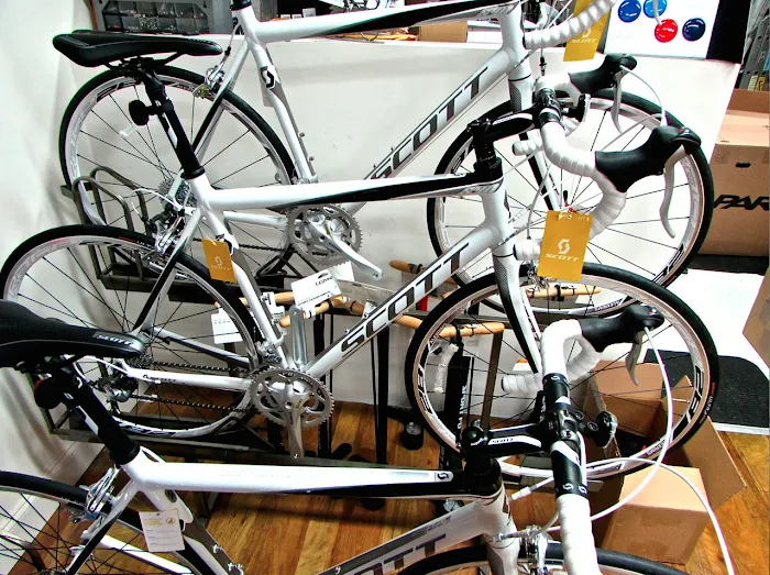 The Bicycle Lab Picture 5