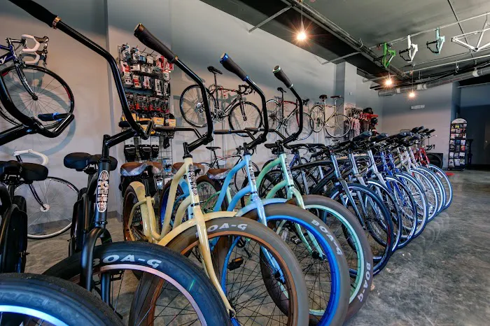 CYCLEVOLUTION Bicycle Shop Picture 7