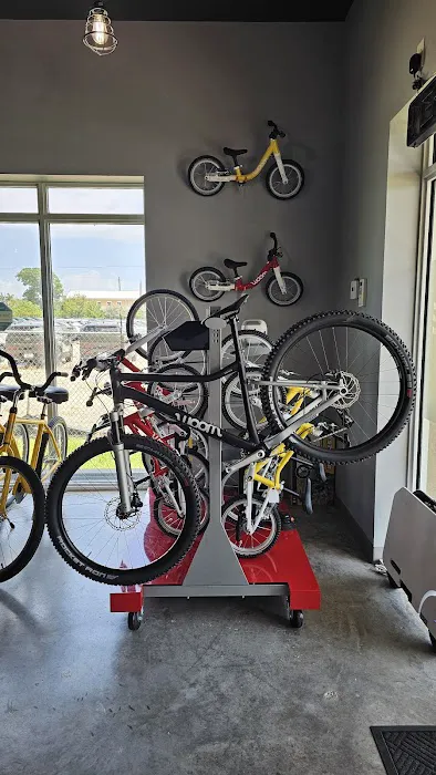 CYCLEVOLUTION Bicycle Shop Picture 10