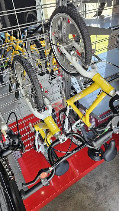CYCLEVOLUTION Bicycle Shop Picture 5
