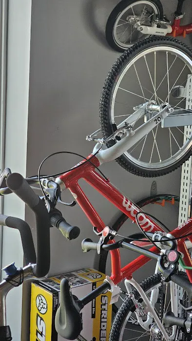 CYCLEVOLUTION Bicycle Shop Picture 6