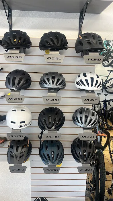 BY CYCLE - Bike Shop Picture 4
