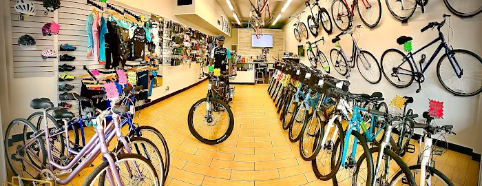 BY CYCLE - Bike Shop Picture 9
