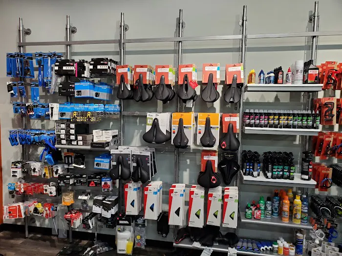 Conte's Bike Shop Picture 5