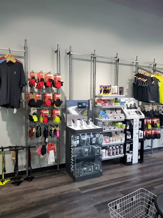 Conte's Bike Shop Picture 2