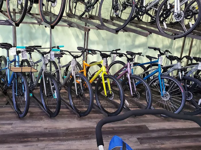 Conte's Bike Shop Picture 3