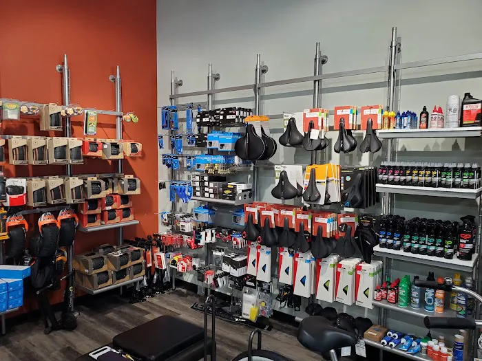Conte's Bike Shop Picture 6