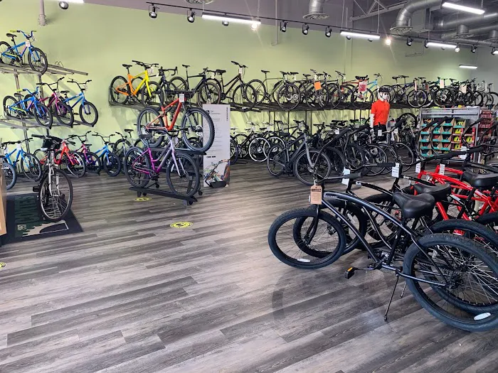 Conte's Bike Shop Picture 9