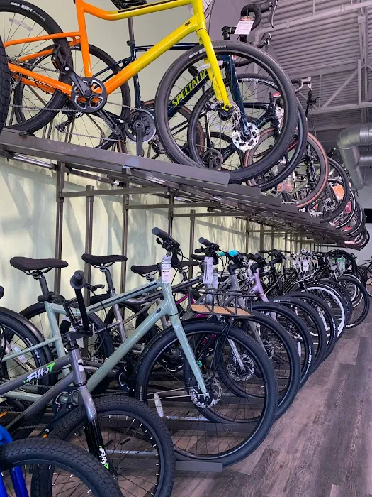 Conte's Bike Shop Picture 7