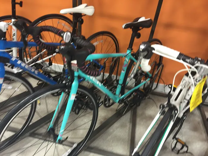 Trek Bike Shop of Boynton Beach Picture 3