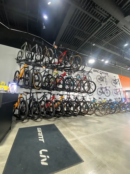 Epic Cycles Delray Beach Picture 3