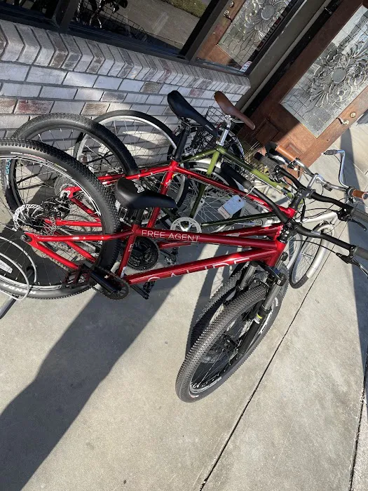 Family Bicycle Picture 5