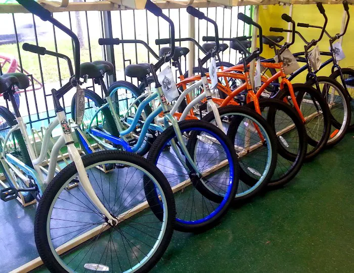 Family Bicycle Picture 3