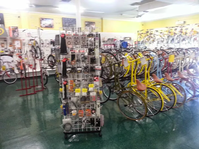 Family Bicycle Picture 10