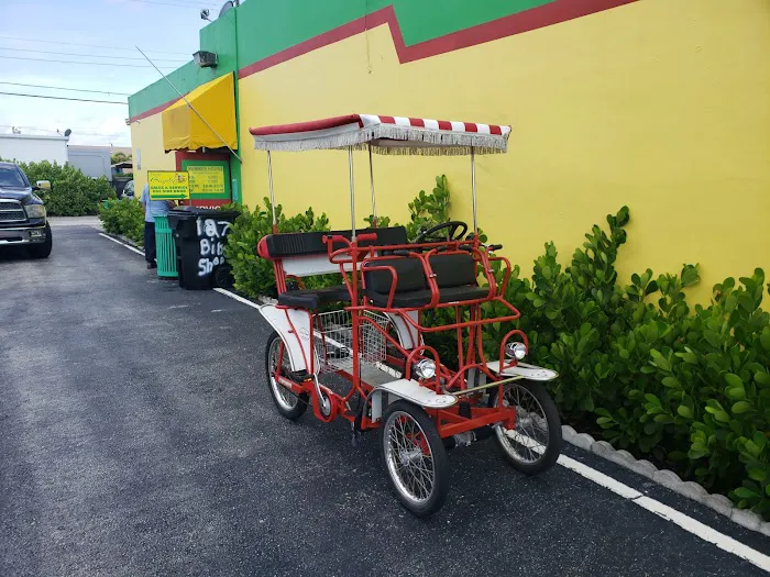 Family Bicycle Picture 7