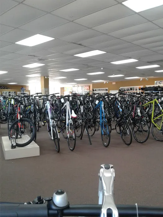 Bicycle World Lake Worth Picture 2