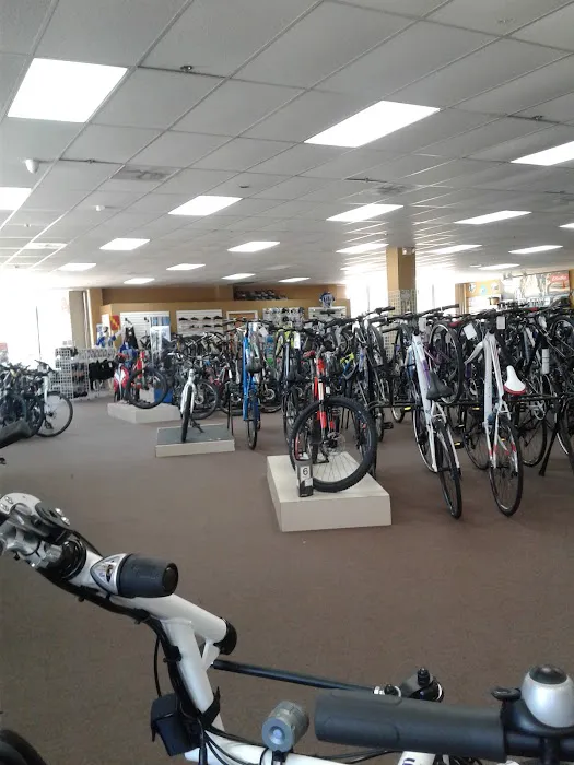 Bicycle World Lake Worth Picture 9