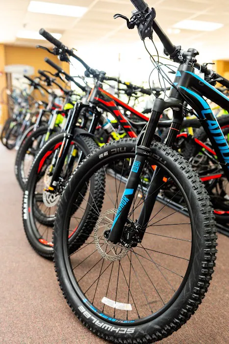 Bicycle World Lake Worth Picture 10