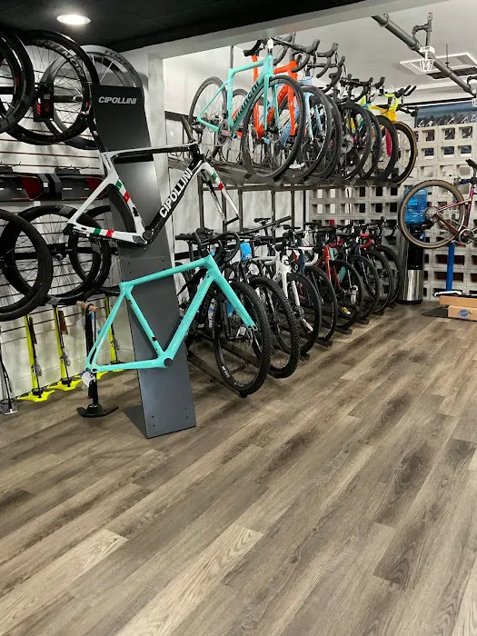 LC TRI SHOP BOUTIQUE Picture 3