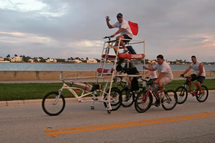 Bicyclery Picture 7