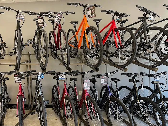 Trek Bike Shop of Palm Beach Gardens Picture 7
