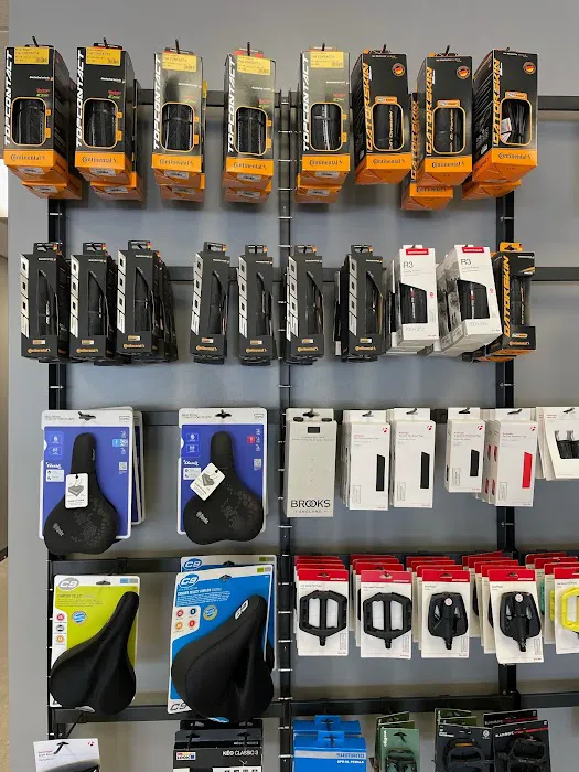 Trek Bike Shop of Palm Beach Gardens Picture 1