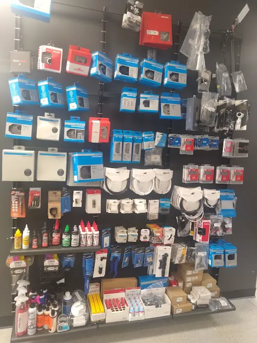 Trek Bike Shop of Palm Beach Gardens Picture 6