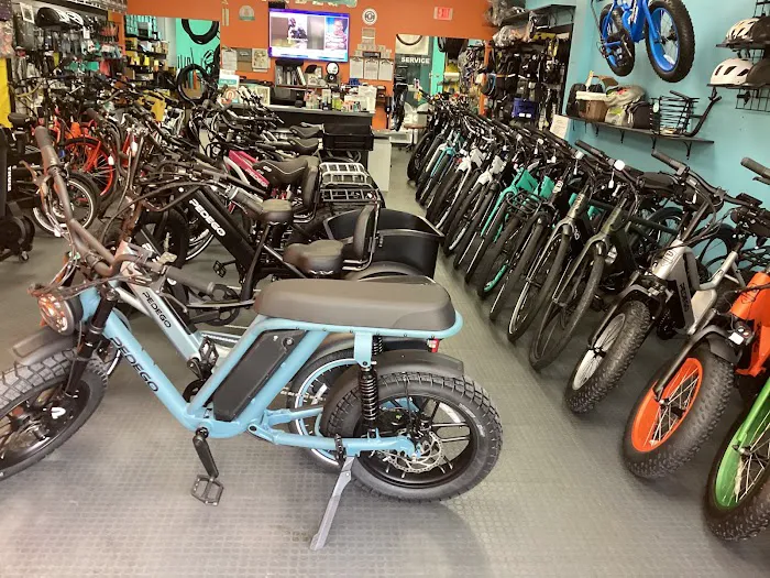 Pedego E-Bikes Juno Beach Picture 8