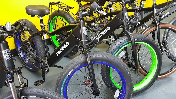 Pedego E-Bikes Juno Beach Picture 5